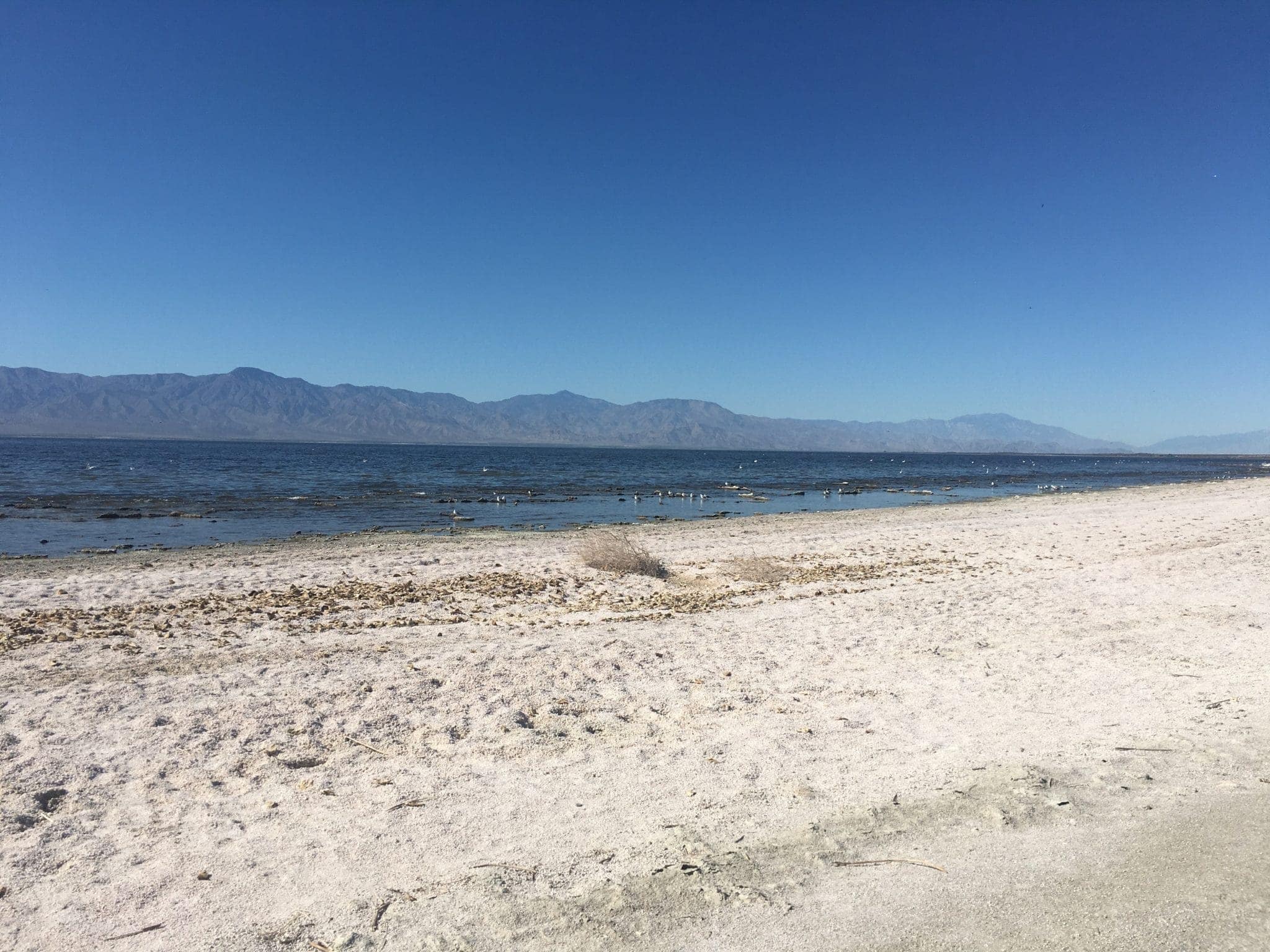 The Salton Sea and Palm Springs