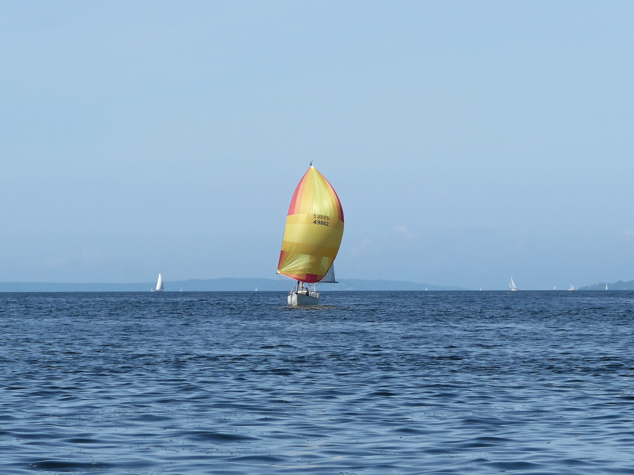 sailboat spinnaker on way to winslow wharf marina