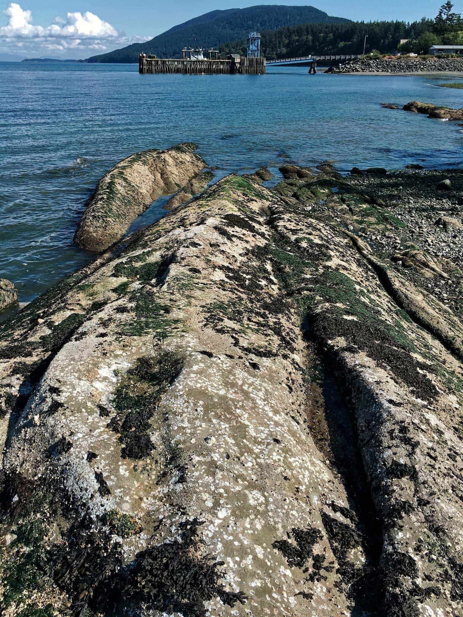 Beach rocks and view towards Lummi Island Ferry