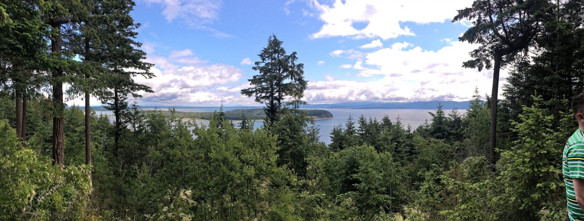 Cabin Panorama View