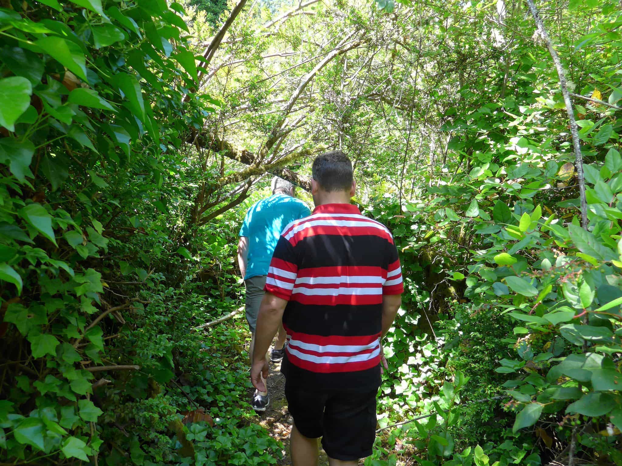 Eagle Island trails