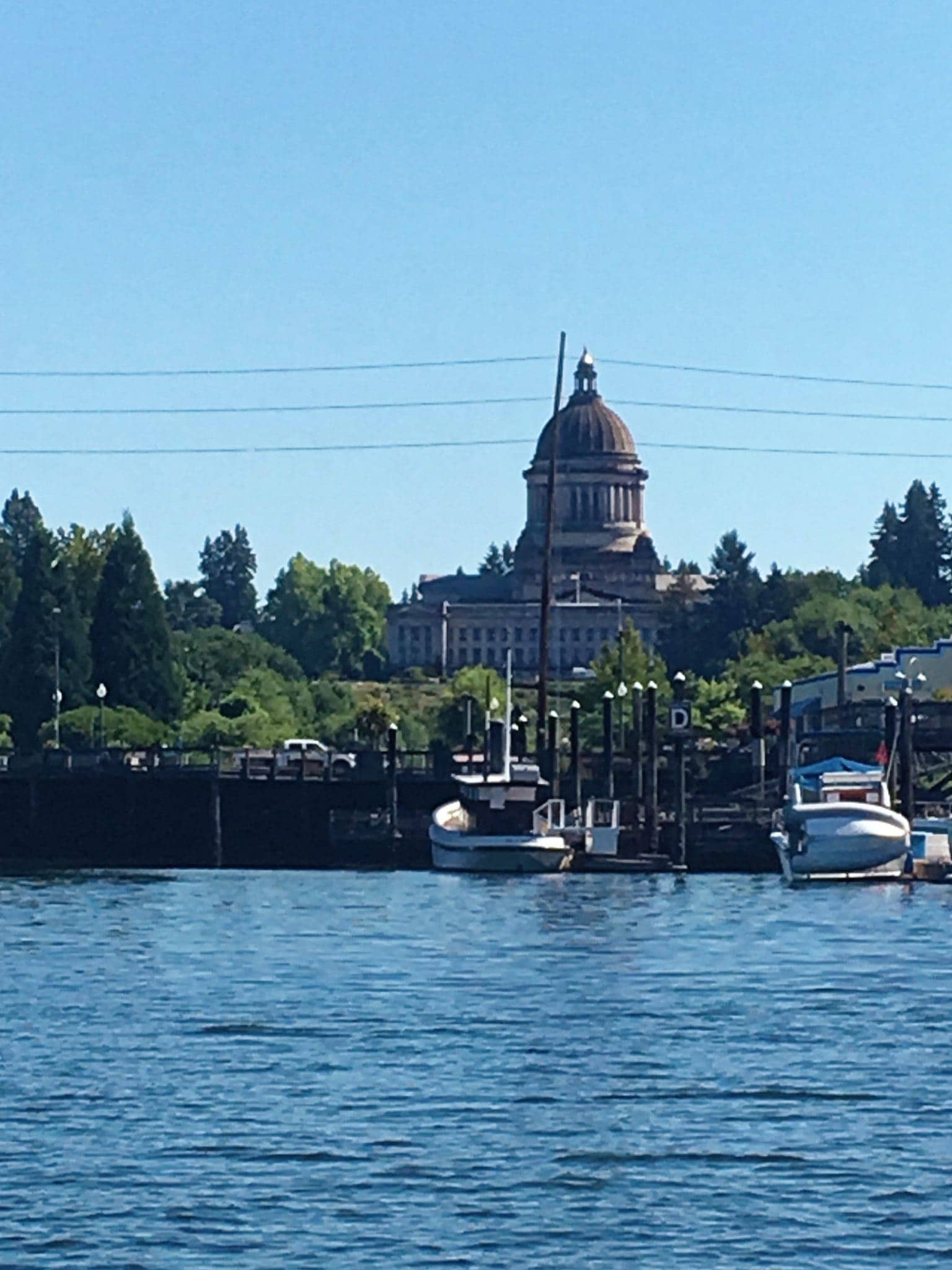 Capitol in the distance