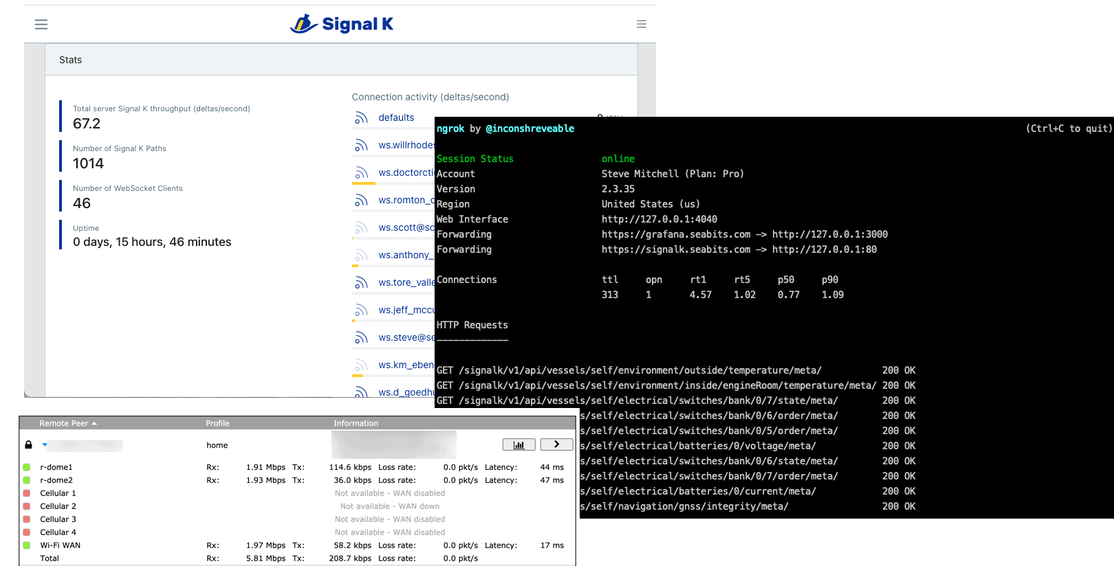 Remotely accessing boat systems